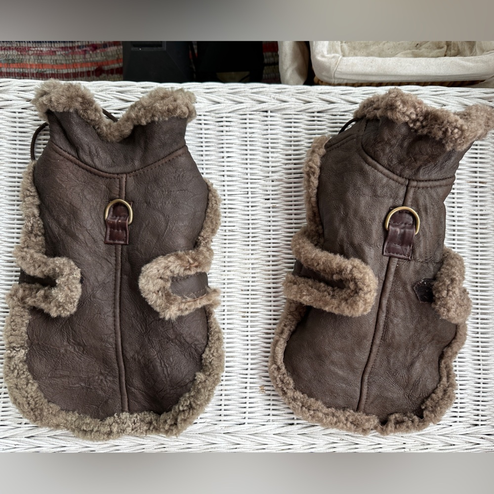 💯 Shearling Dog Coats Pair: Leather Coats for Small +Medium Dog! Luxury